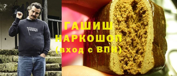 мдпв Осташков