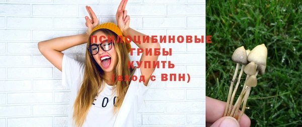 mdpv Алзамай